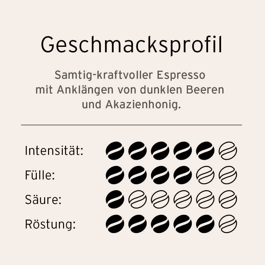 TC BIO FT VISTA ES 1000gx6 GB