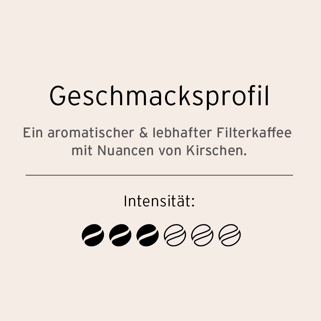 TC Classic Elegant FK 500gx16 MK