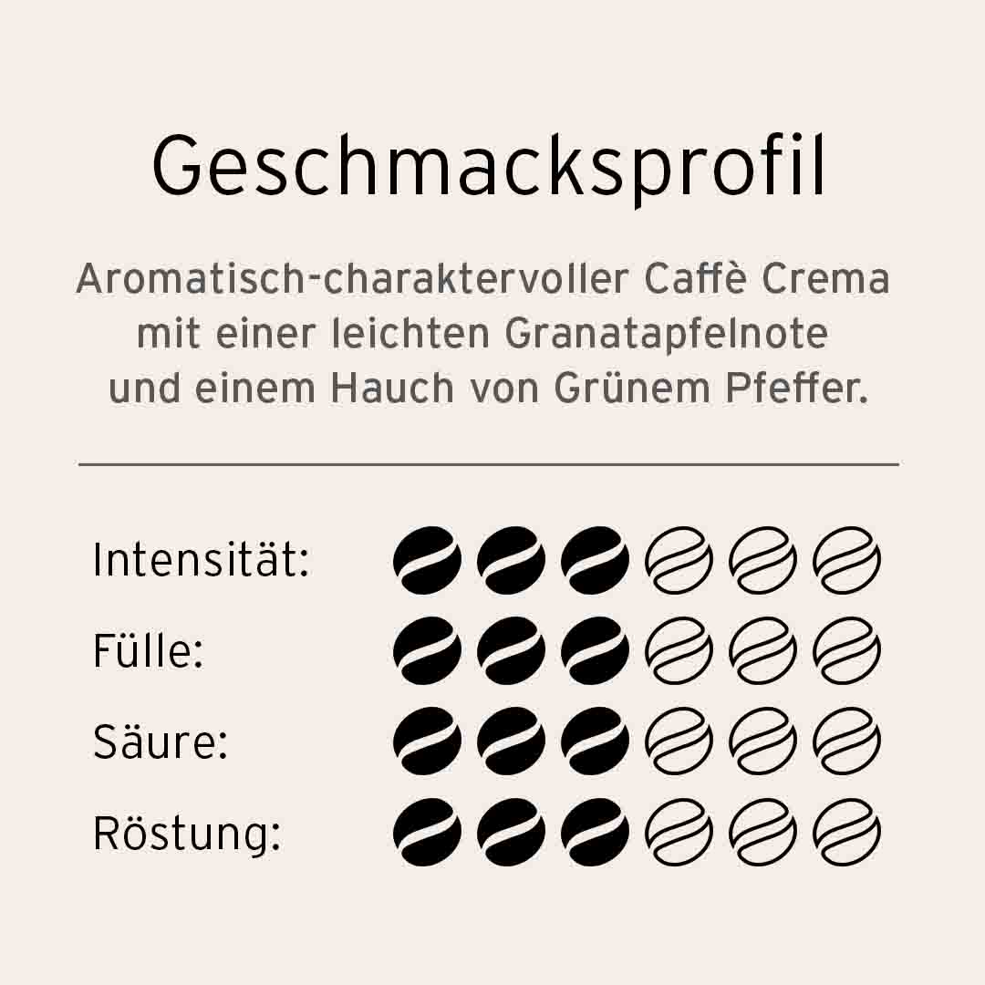 TC BIO FT VISTA CC 1000gx6 GB