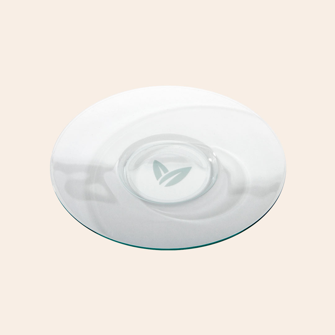 PURE Tee Glasuntertasse 6St